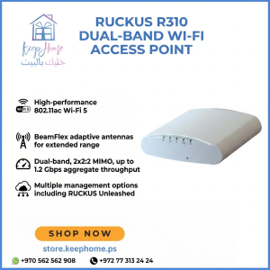 Ruckus R310
